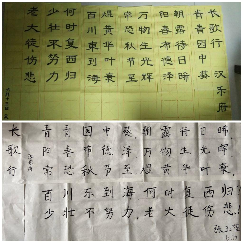 熊猫体育